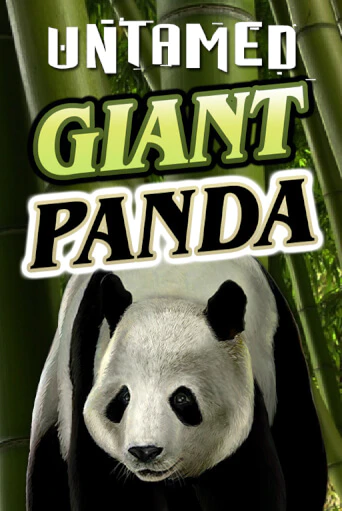 Untamed - Giant Panda играть онлайн без регистрации в Онлайн Казино GRAND